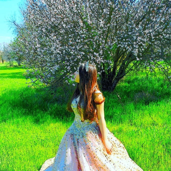 Quinceara Dress worn for pics and party Size 3/4 with small blue stain - Picture 4 of 7